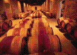 storing/aging wine