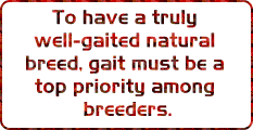 To have a truly well-gaited...