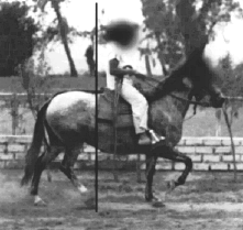 Falls short of ideal