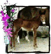 Lorraina at Mom's side.