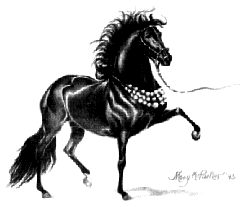 Parker Horse