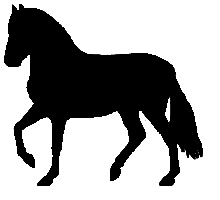 PASO FINO HORSE