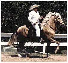 RRI Tio Juan gait photo 