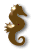 seahorse