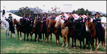 TLA at 98 Rose Parade